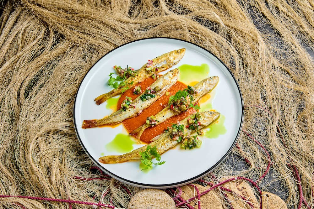 Krabi_Pärnu Meritindi Festival_15_krabi_0273 copy.jpg